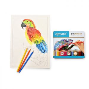 Apsara Premium Color Pencils (26 Shades – Tin Packing)
