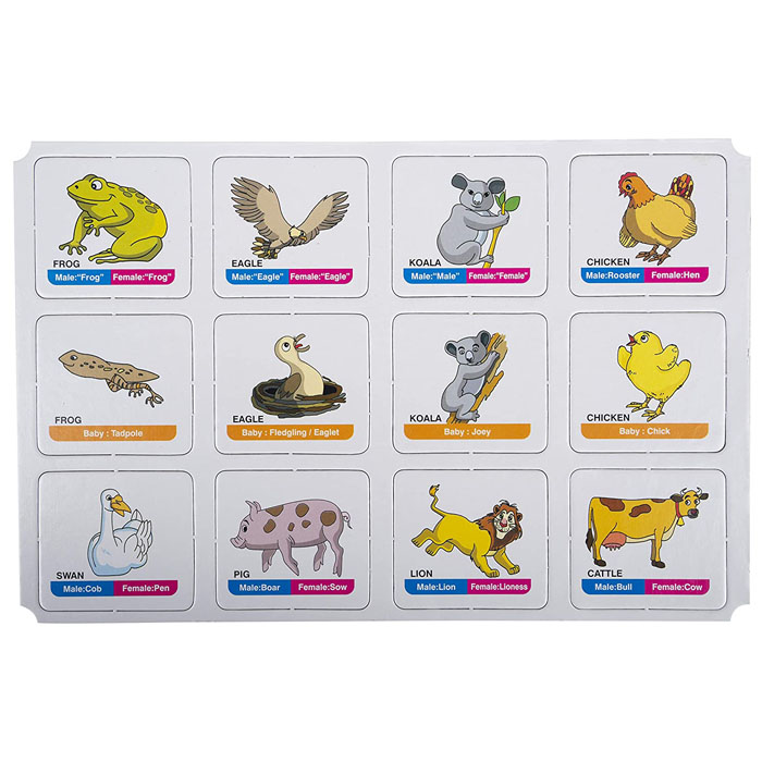 Funskool Animal Family Memory Game – IMPERIAL STATIONERY MART