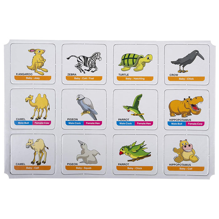 Funskool Animal Family Memory Game – IMPERIAL STATIONERY MART