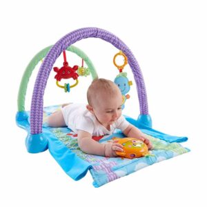 Fisher-Price Kick ‘n Crawl Musical Seahorse Gym