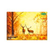 Artist Drawing Book (Butter Paper) - A3 - 64 Pages