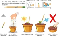 PLANTABLE PAPER PENCILS COMBO PACK OF 2