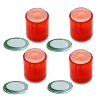 Laurel Red Power Cylinder Fridge Magnet with Self Adhesive Metal Disc 14x25mm for Fridge Door Magnetic Map Screen Door Bulletin Notice White Board Attach Pen Scissors Keys to Filing Cabinet 4 Pieces
