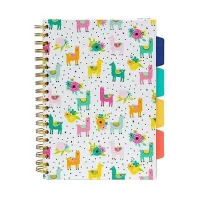 Pukka Pad B5 Size, Llama Colour Wash Project Book, 5 Subject Notebook Diary Ruled, 200 Pages, 80gsm, WireBound, Hard Backed Covers, Page Perforation, Dividers with Storage Pockets