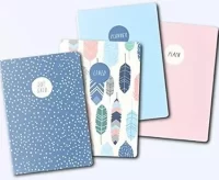 Pukka Pad, Carpe Diem 32 Page A6 Notebook 4 Pack – Includes Plain, Lined, Dotted, and Planner Notebooks – Feathers
