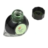 Colorverse Allen Hills 84001 | Green | Fountain Pen Ink | 5ml | Dye Based Ink | Pipette Included | Mini Collection | The Red Planet Series