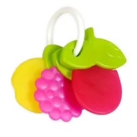 Funskool Fruit Teether