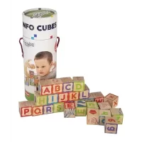 GIGGLES INFO Cubes - Mind Building Developmental Learning Toy!