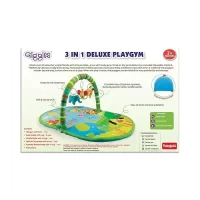 3 IN 1 DELUXE PLAYGYM-9949300