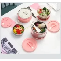 2520 INSULATED LUNCH BOX SS(3LAYER,2100ML)