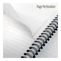 Pukka Pad A5 Size Single Black Line PP Neon Notepad Notebook Diary Ruled, Pink Colour Spiral, 200 pages, Micro Perforated, 80gsm Spiral Side Bound, Black PP Covers, Assorted Coloured Packs