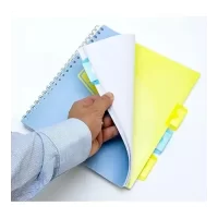 Pukka Pad A5 Size Pastel Mint Project Book, 4 Subject Notebook Diary Ruled 200 pages, Micro Perforated, 80gsm, Wire Bound, Polyprop Covers, Re-positionable Dividers with Storage Pockets